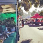 Montecito Farmers Market