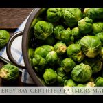 Aptos Farmers Market at Cabrillo College