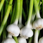 Paso Robles Farmers Market